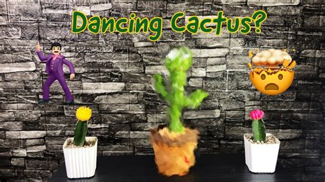 Special Dancing Cactus Unboxing And Full Review Youtube