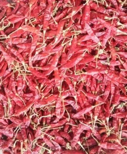 Guntur Red Dry Chillies 25 Kg At Rs 195kilogram In Velur Id