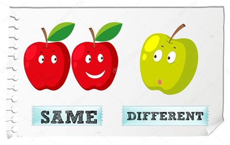 Opposite Adjectives With Same And Different Stock Vector Image By