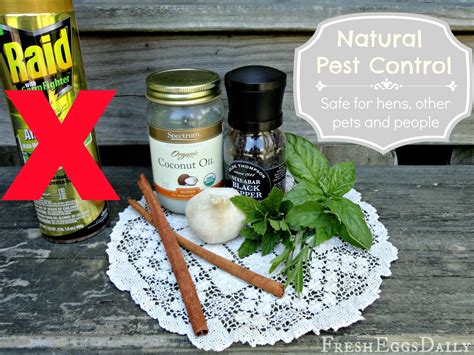 I offer and promote organic material alternatives at no extra cost. Natural Pest Control - Safe for Chickens, Other Pets and ...