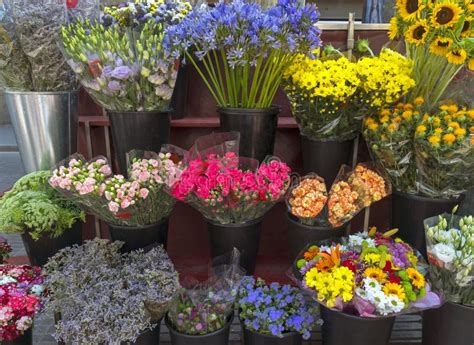 Outdoor Flower Market On Las Ramblas Stock Photo Image Of Colorful