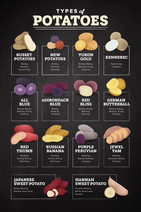Types Of Potatoes Food Infographic Types Of Potatoes Food Facts