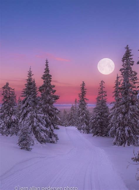 Winter Morning By Jørn Allan Pedersen Norway Winter Pictures