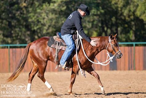 Horse Training Tips Horse Tips Horse Stalls Horse Barns Western