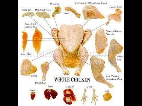 Find a translation for daging in other languages: Bagian Daging Ayam - YouTube
