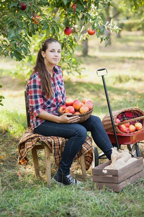Girl With Apple In The Apple Orchard Stock Photo Image Of Gardening