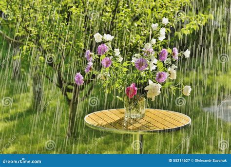 Summer Rain And Flowers Stock Image Image Of Summer 55214627