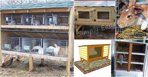 The rabbits were allowed to dig as much as they liked, which meant we didn't have trouble with how do you know it's a fox? 10 Free DIY Rabbit Hutch Plans That Make Raising Bunnies ...