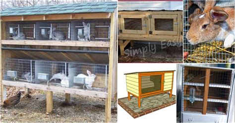 Check spelling or type a new query. 10 Free DIY Rabbit Hutch Plans That Make Raising Bunnies ...
