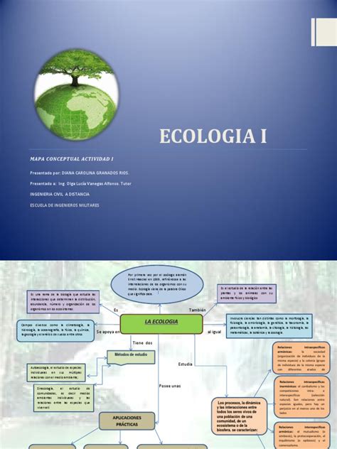 Mapa Conceptual Ecologia Docx Ecosistema Ciencias De La Tierra Y
