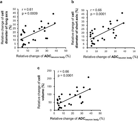 The Cellular Adc Increase Was Correlated With The Cell Size Change