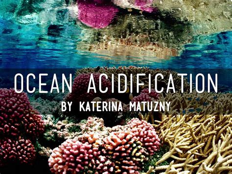 Ocean Acidification By Katerina Matuzny