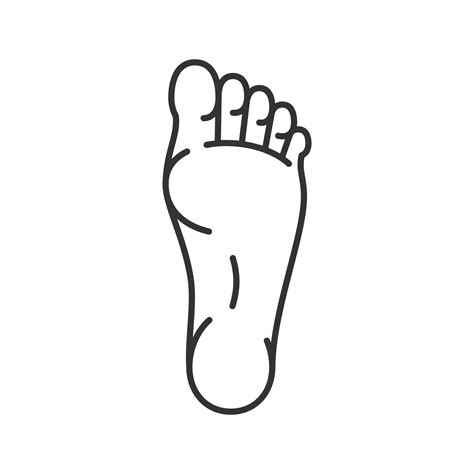 Foot Linear Icon Thin Line Illustration Contour Symbol Vector
