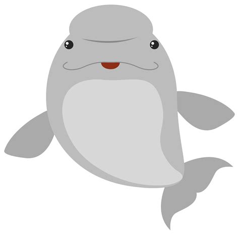 Beluga Whale Vector Art Icons And Graphics For Free Download