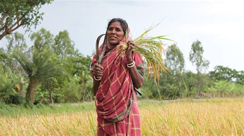 Climate Resilient Farming Model Helps Indian Women Bounce Back After Drought Un Desa United