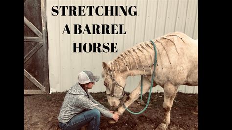 How To Help A Sore Horse Stretching Exercises Favorite Soaking