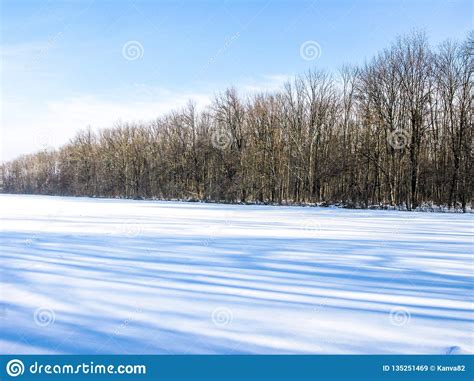 Winter Field And Forest Stock Image Image Of Grove 135251469