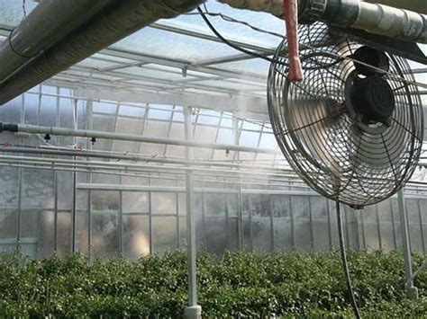 Greenhouses are mostly made out of four different types of plastic. Humidification and cooling systems | Greenhouse, Water ...