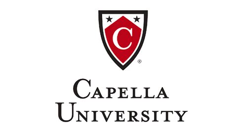 Capella Msw Student Group