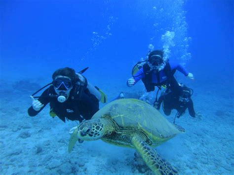 Hawaii Scuba Diving - Guide dive