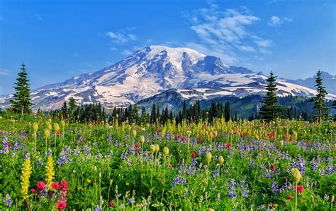 Mount Rainier National Park