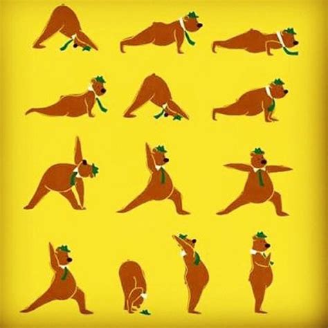 Yoga Inspiration On Instagram Yogi Bear 😍 Yoga Funny Yoga For