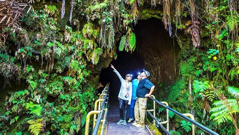 Thurston Lava Tube Pāhoa Hi Is A Tropical Forest Area Featuring A