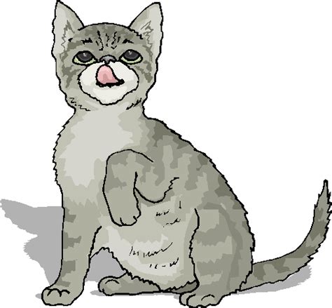Funny Cat Lick His Nose Free Animal Clipart Free