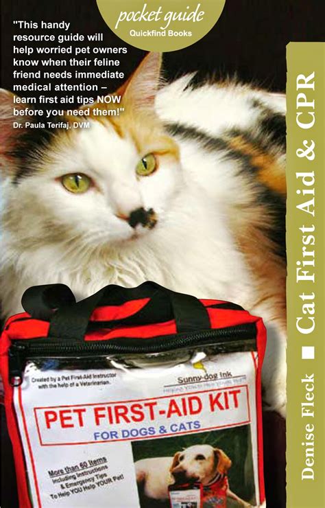 Cat And Dog Chat With Caren First Aid For Your Cat
