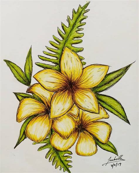 √ Easy Colored Pencil Drawings Of Flowers
