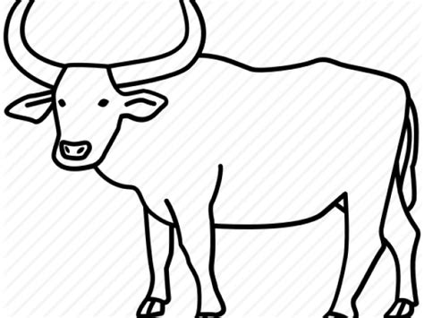 Ox Clipart Drawing Ox Drawing Transparent Free For Download On