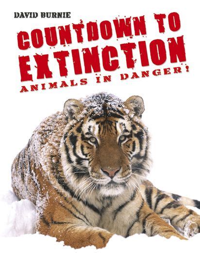 A Poster That Informs Those About The Loss Of Tigers In Asian Countrys