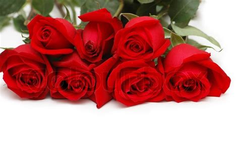 Bunch Of Red Roses Isolated On White Stock Image Colourbox