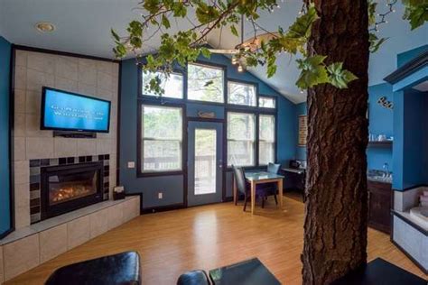 A Living Room With Blue Walls And Wooden Floors A Tree In The Middle