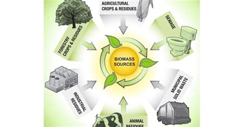 Bioenergi Energi Dari Mahkluk Hidup Pengetahuansaya