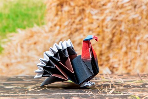 Advanced Turkey Model By Jun Maekawa Folding And Custom Template By