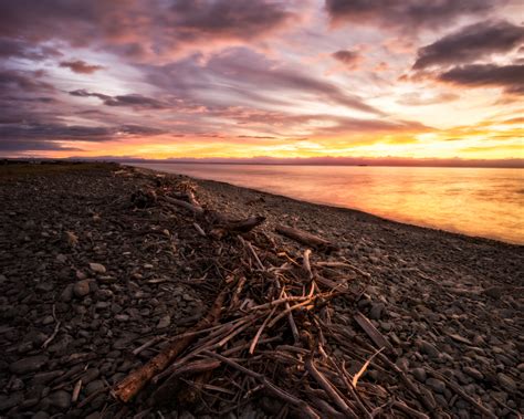 Sunset Driftwood Beach Glenduan Nelson New Zealand Flickr