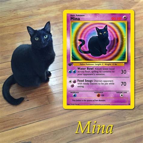 Sm black star #tpci01 tsunekazu ishihara signed pokémon gx promo card, to use its full title, is a testament to the raw power apparently held by the pokémon president. Artist Illustrates Pets Into Pokemon Cards And They Look ...