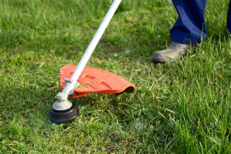 Tips For Mowing An Overgrown Lawn Lawnstar
