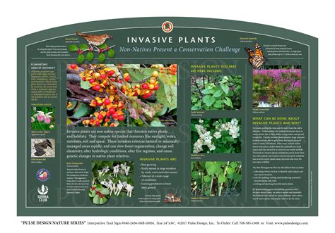 Pdns Plant Species Invasive Poisonous Native Plant Identification Guides Outdoor Interpretive