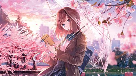 This collection presents the theme of anime wallpapers. Download Blossom, anime girl, beautiful wallpaper, 1366x768, Tablet, laptop