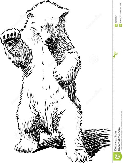 bear standing on its hind legs drawing peepsburgh