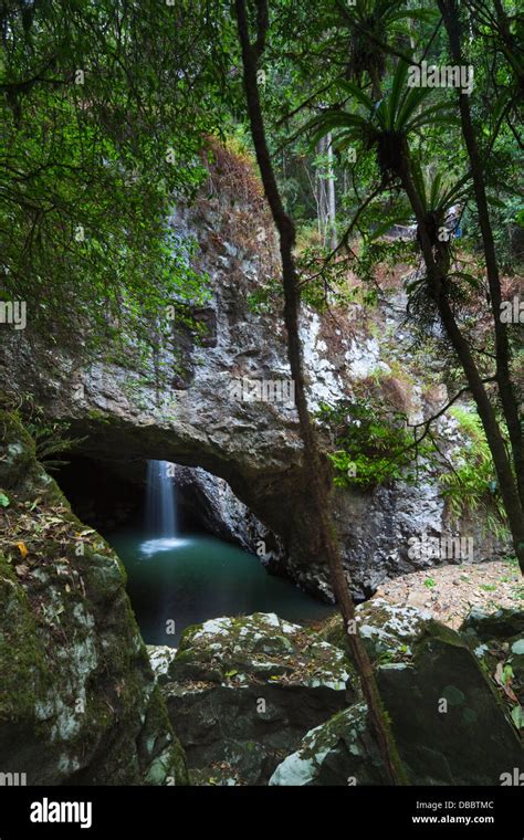The Natural Bridge Water Formed Cave And Waterfall In Springbrook