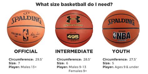 What Size Ball Does The Wnba Use