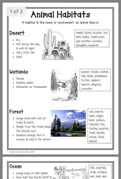 Animal Habitat Lesson Plans Kindergarten