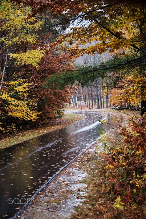 Rainy Road On A Autumn Day Rainy Day Photography Autumn Rain Rainy Day Wallpaper