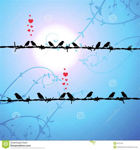 Download Love, Birds Kissing On Branch Stock Vector - Illustration of love, dating: 8241518
