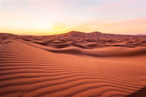 7 Deserts That Used To Be Verdant Fields And Forests