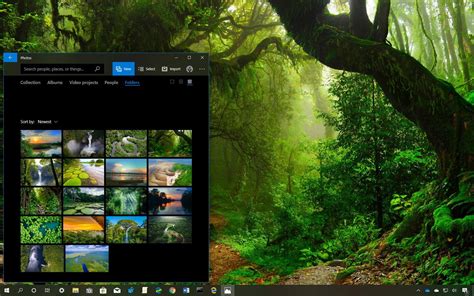 Amazon Rainforest theme for Windows 10 (download) • Pureinfotech