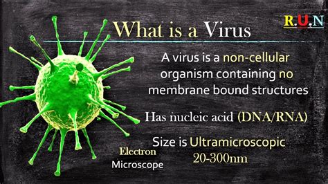 Viruses Biology Nssc Youtube